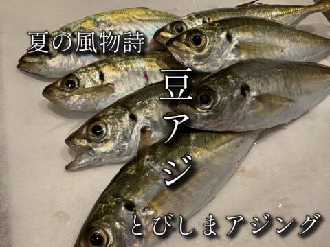豆アジ　サムネ